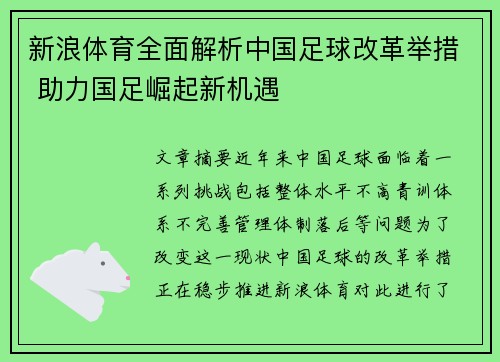 新浪体育全面解析中国足球改革举措 助力国足崛起新机遇